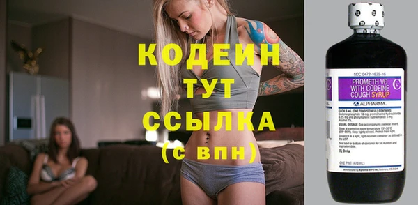 индика Балахна