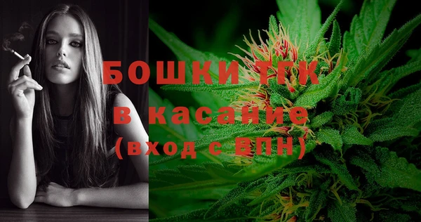 индика Балахна