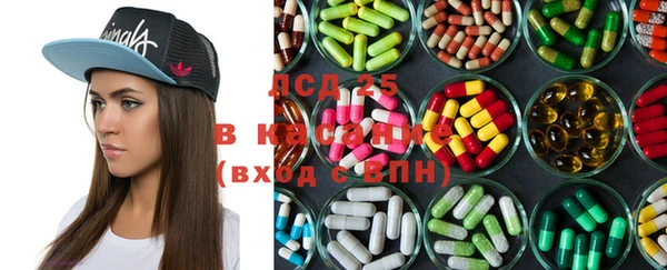 индика Балахна