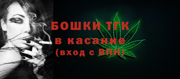 индика Балахна