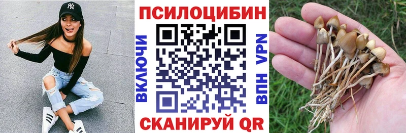 дарнет шоп  Сертолово  сайты даркнета наркотические препараты  Псилоцибиновые грибы ЛСД 